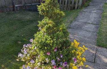 Robin Cottage - Foto 9