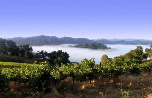 Vacation Rental with Spa and Pool on Winery near Healdsburg, California - Foto 6