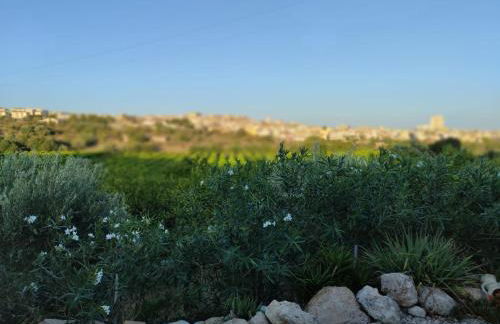 Il Primo Fiore - Foto 14