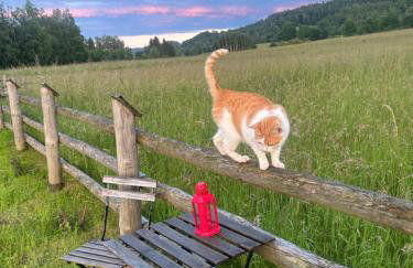 Słoneczna Chata z Bali - Foto 55