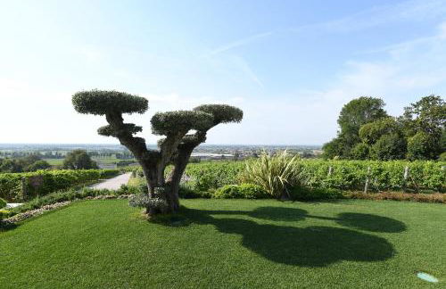 Progress Country & Wine House - Photo 124