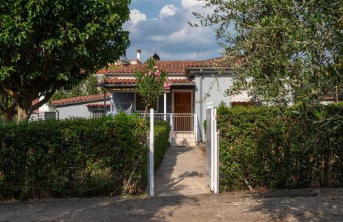 Olivilla Garden Retreat - A Peaceful Escape - Foto 28