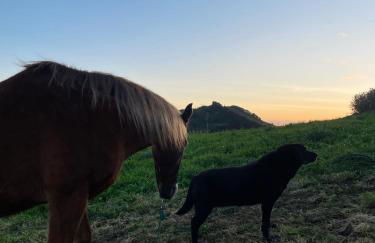 Quinta do Avô Brum - Foto 2