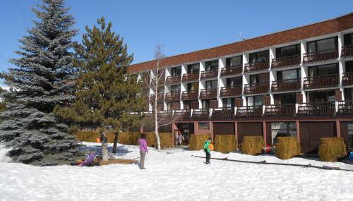 Aigle Noir - Photo 2