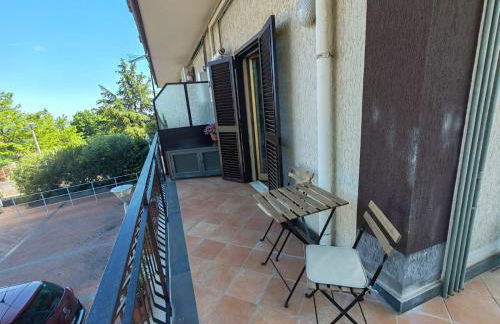 Il tulipano - Foto 12