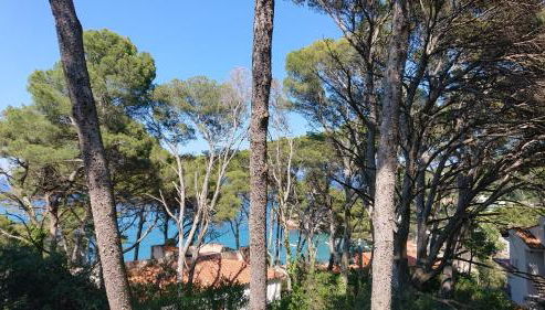 SA RIERA Begur, 200 m walk to sa Riera beach - Foto 2