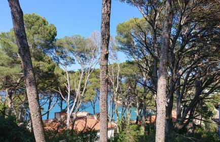 SA RIERA Begur, 200 m walk to sa Riera beach - Foto 2