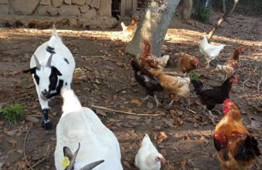 Casa MiraXurés con vistas a la Sierra del Xurés - Foto 47