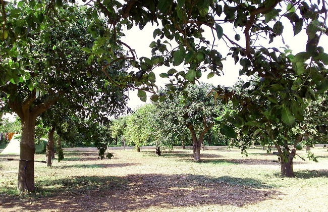 Agriturismo Terra dei Limoni - Foto 69