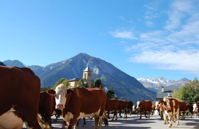 4-6 Pers. Holiday Appartment Near Center of Champagny - Foto 52