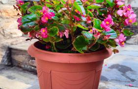 erofili apartments - Photo 32