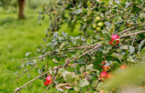 2 Bed in Doncaster oc-93150 - Foto 29