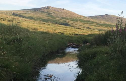 Meadow Sweet Cottage - Photo 77