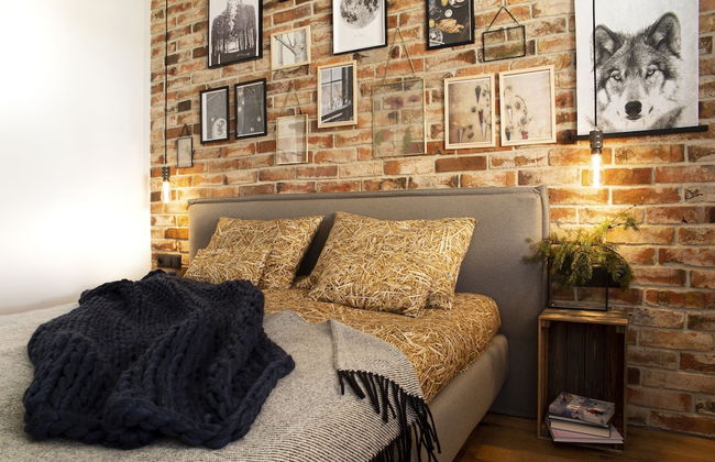 Green Deer Premium - Foto 52