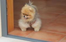 Casa da Alzira - Foto 52