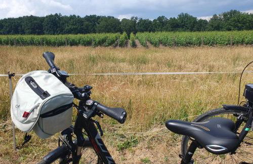 Alte Dorfschule am Elberadweg - Foto 18