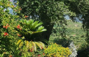 The Moon over the Sea - Photo 8