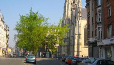 Suite Molinel - Foto 3