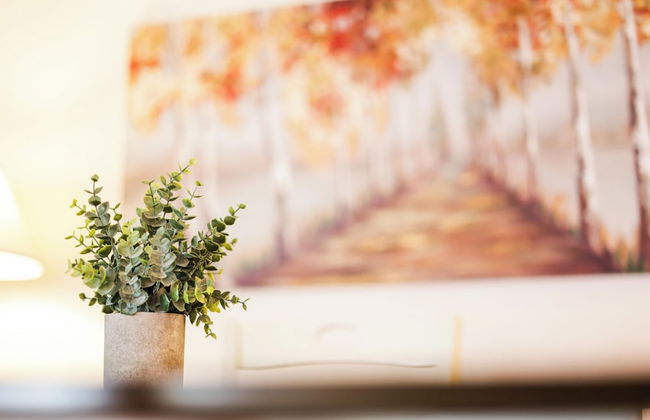 Downtown Greenville Spacious Apartment - Photo 15