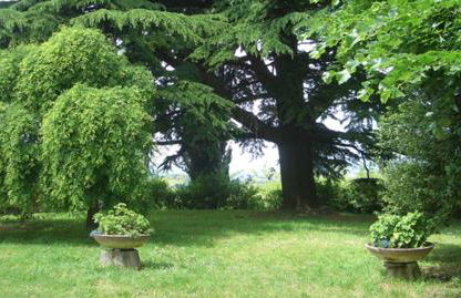 Casa sull'Albero Aromantica - Foto 25
