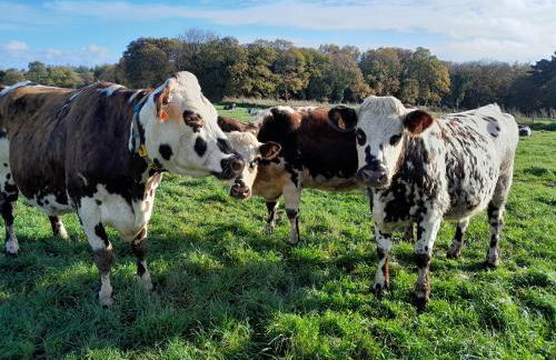 gite à la ferme - Foto 3