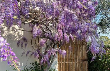 All'Ombra Del Tiglio - Foto 59