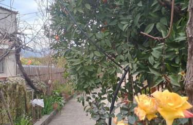 Spartan Antonis' house - Foto 11