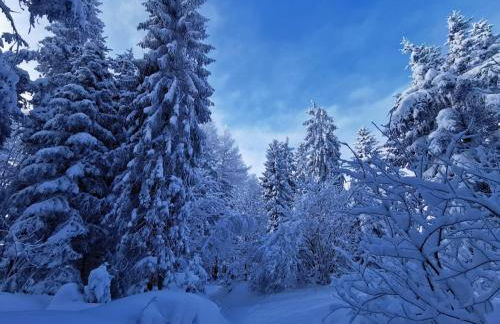 NaturBlick am Rothaarsteig neue moderne Ferienwohnung mit 2 Badezimmern 2 Küchen inklusive Highspeed Internet Flatrate 2x XXL Boxspringbett 2x Terrassen und 2x PKW Parkplätze 10 Minuten bis Willingen Ideal für Touristen und Geschäftsleute mit MWStRechnung - Foto 29