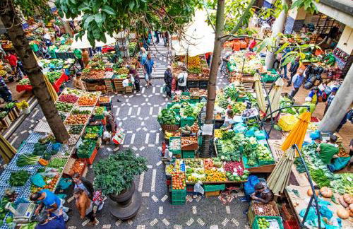 Casa Santana - Foto 20