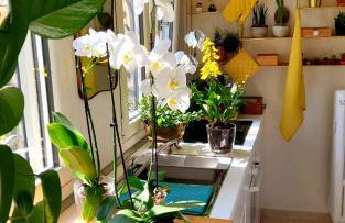 La Casa degli Specchi - Foto 39