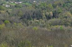 Agriturismo Palazzo Vescia - Foto 12