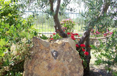 Azienda Agrituristica Le Betulle - Foto 51