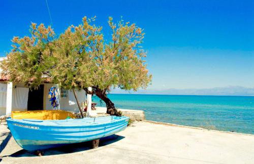 Elysian Studios - Photo 38