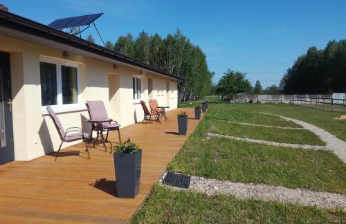 Nowa Wola 58 - 200qm appartment in a small village, with pool, sauna and big garden - Foto 11