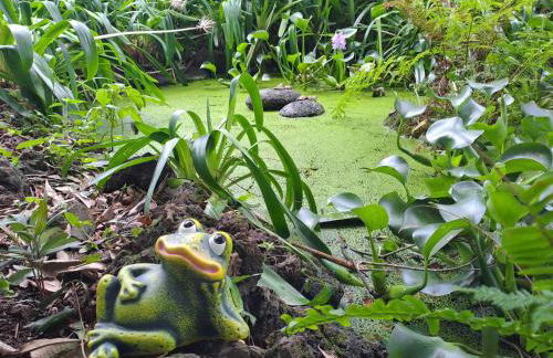 Quinta das rãs - Photo 2