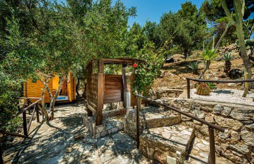 Palma Dello Zingaro - Foto 42