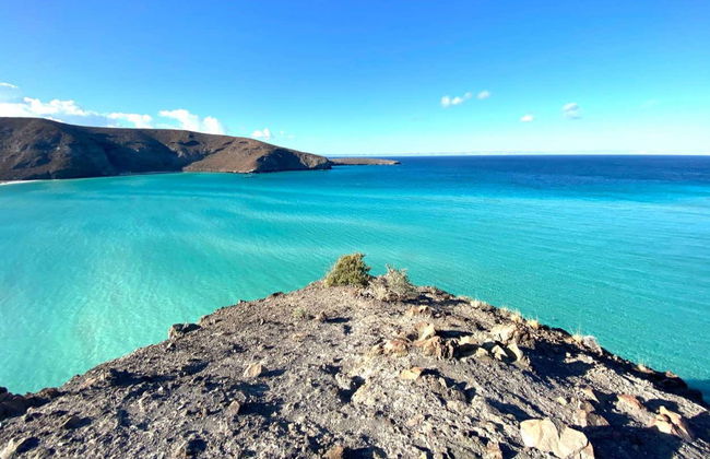 Espiritu Santo Island Boat Tour - Foto 2
