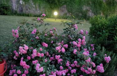 Villa Badia a Ruoti - Foto 10