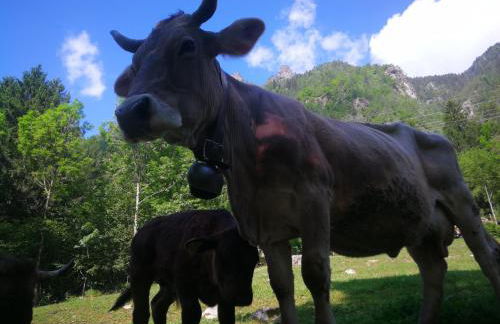 Agriturismo Alle Baite - Foto 72