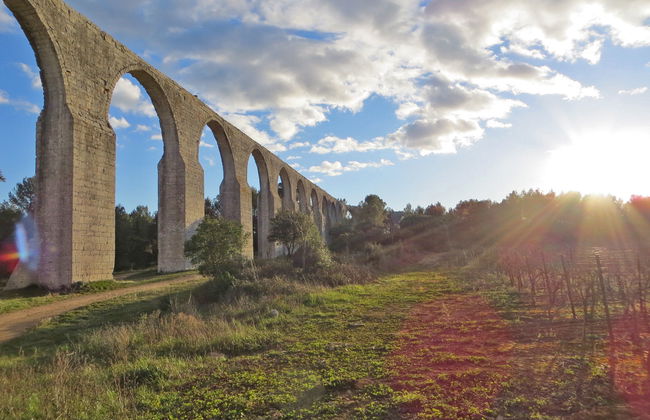 La pinède - Foto 19