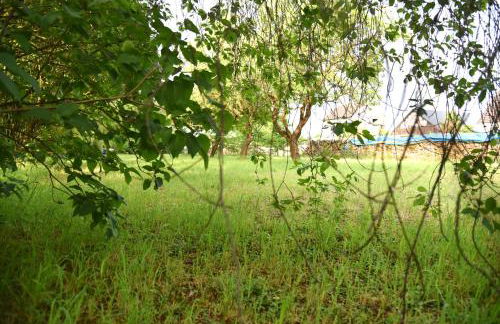 Ferienhaus Biene - Photo 56