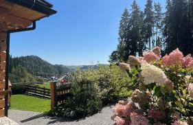 Dom na Zielonym Wzgórzu z własną Sauną i Jacuzzi - Foto 69