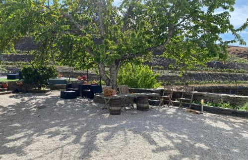 Quinta da Casa Cimeira, Guest House, Wines & Food - Foto 31