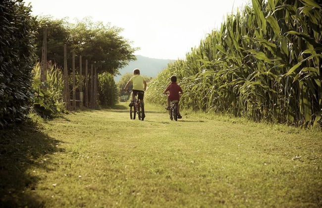 Casa Bassetto - Foto 25