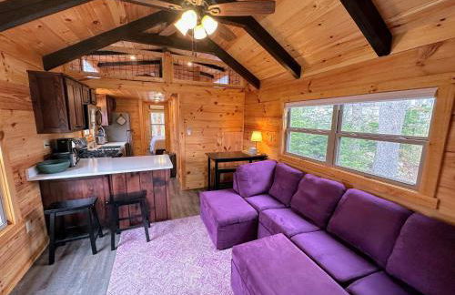 BMV4 Tiny Home with sleeping loft - Foto 5