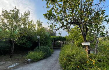 Villa Rosmary - Foto 78