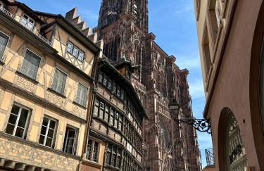 Appartement cosy tout proche de l'hyper-centre - Foto 39