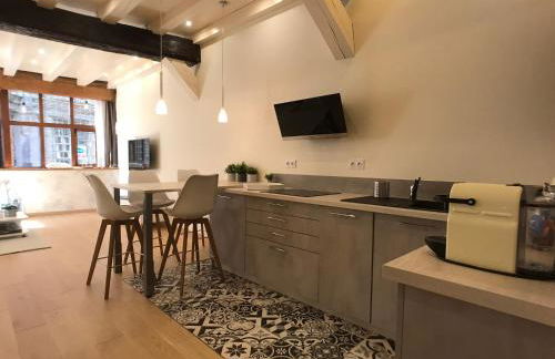 Magnifique appartement de charme au coeur historique de Dinan - Foto 13