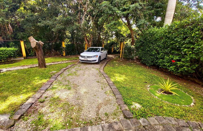 Mini Pini Birdwatching and Cenote Loft4 you Only - Photo 45