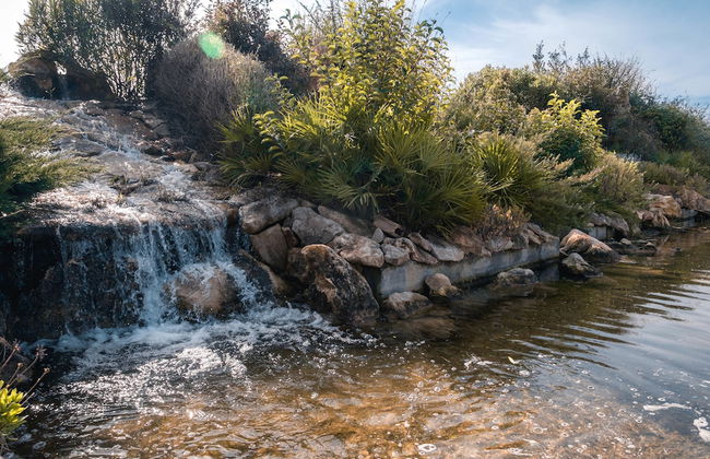 Tenute Delogu - Foto 28